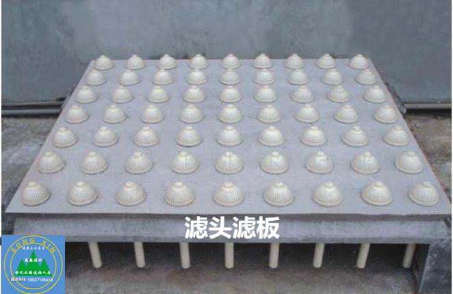 �V�^�V�尲�b�D