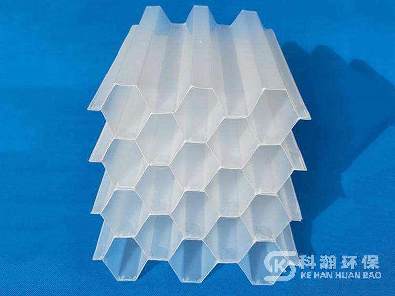 1666488950757264.jpg 1734544565.jpg