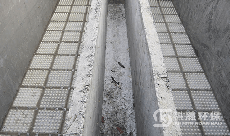 1669597851383977.png 114211741.png